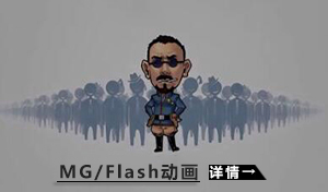 MG/Flash